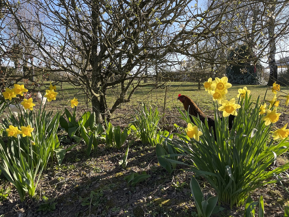 La Paille Haute — photo 2