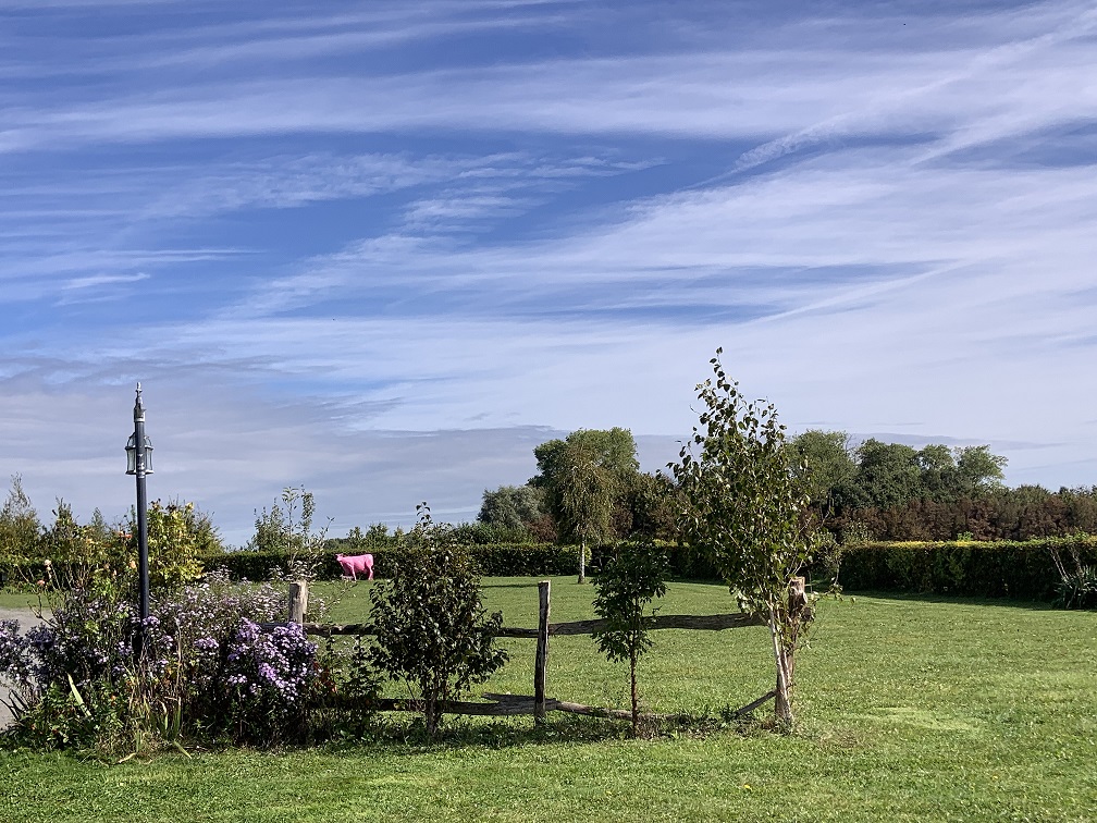 La Paille Haute — photo 5